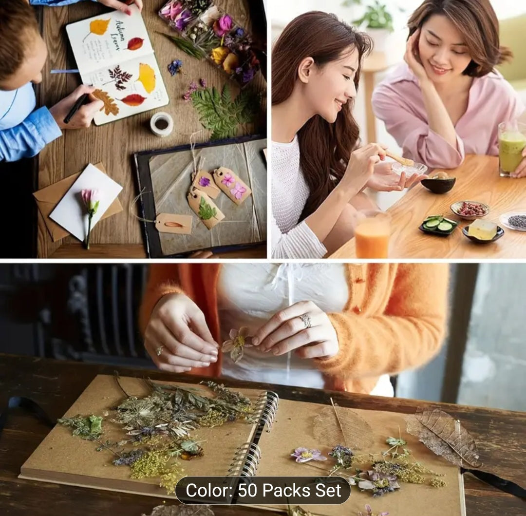 Dried herbs and flowers 50packs